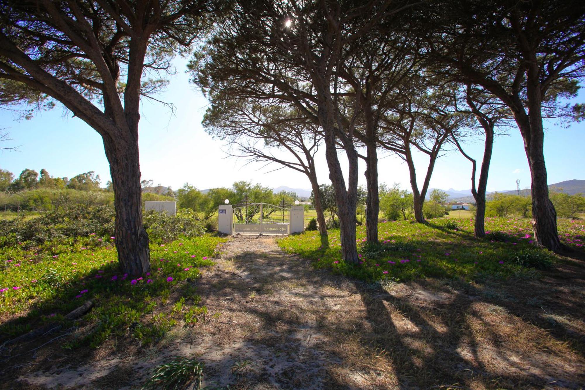 Resort Abbaia Ba Budoni Luaran gambar