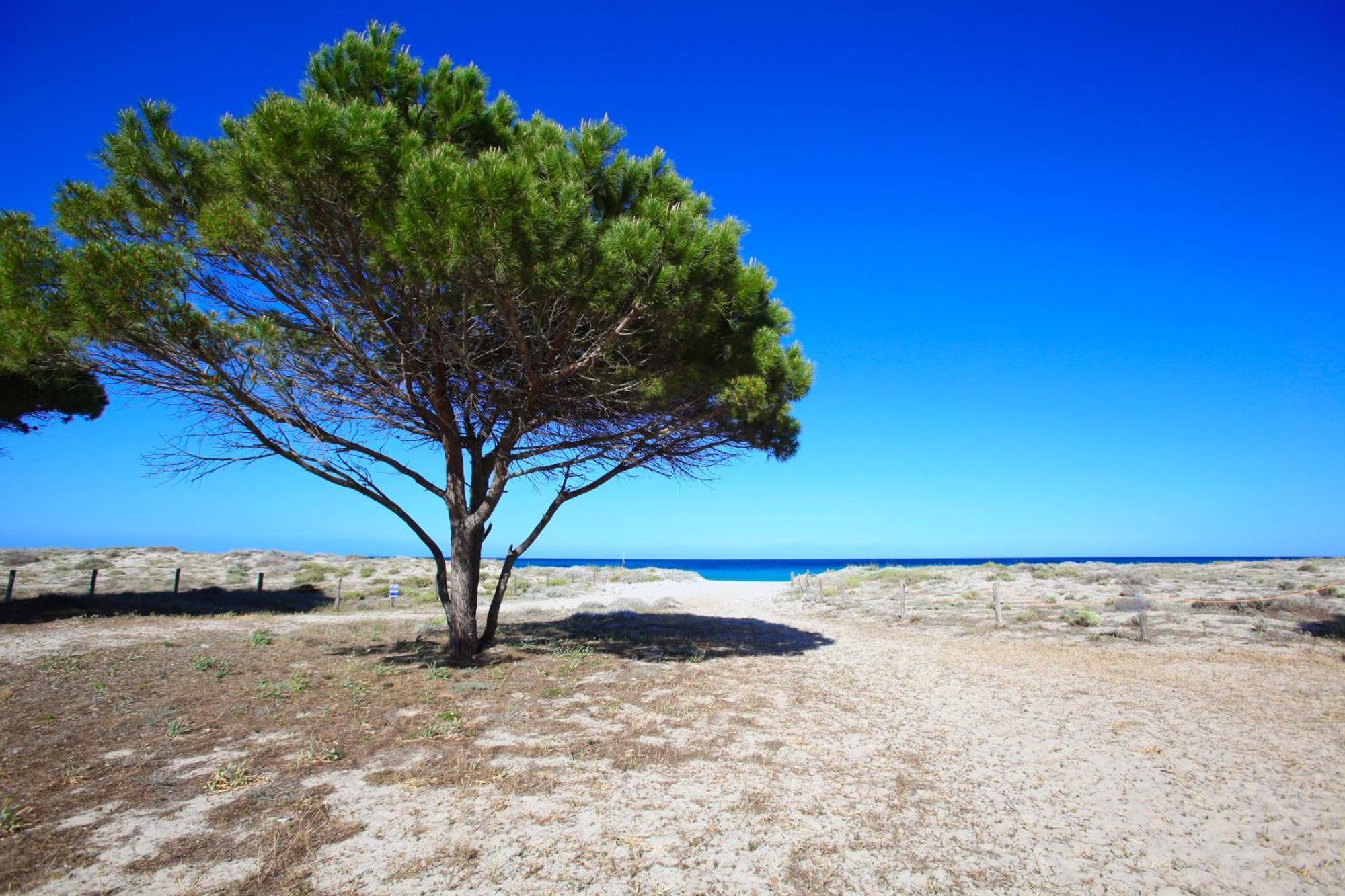Resort Abbaia Ba Budoni Luaran gambar