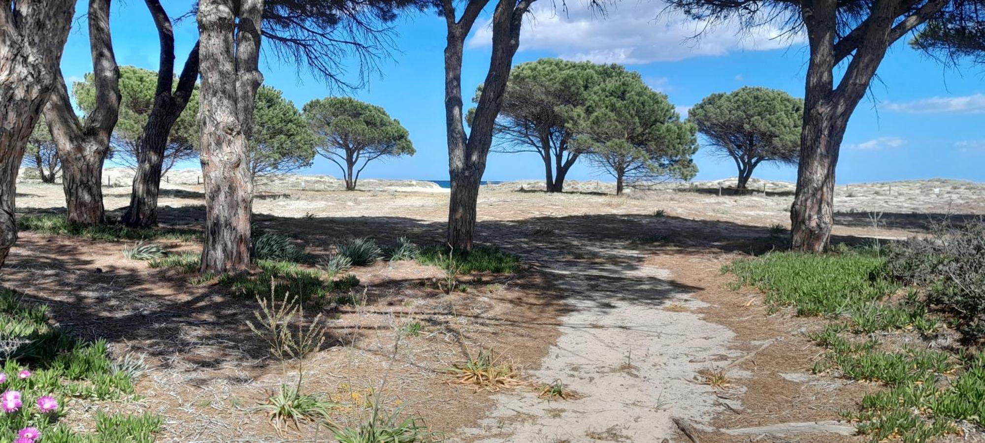 Resort Abbaia Ba Budoni Luaran gambar