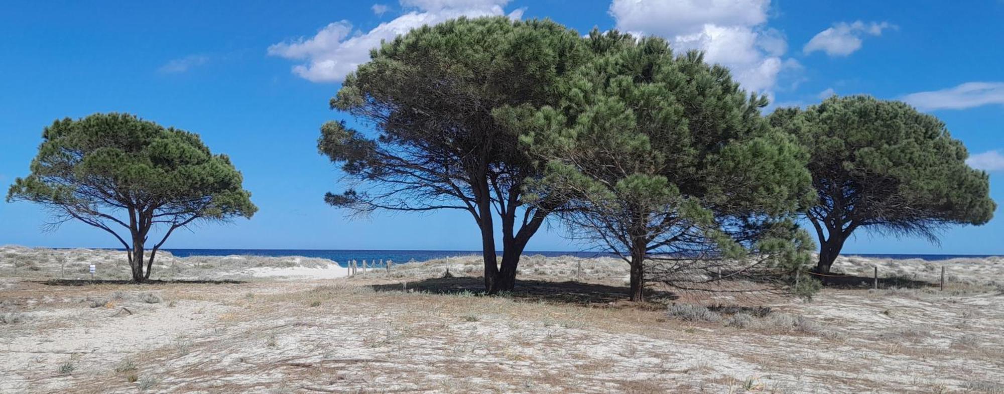 Resort Abbaia Ba Budoni Luaran gambar