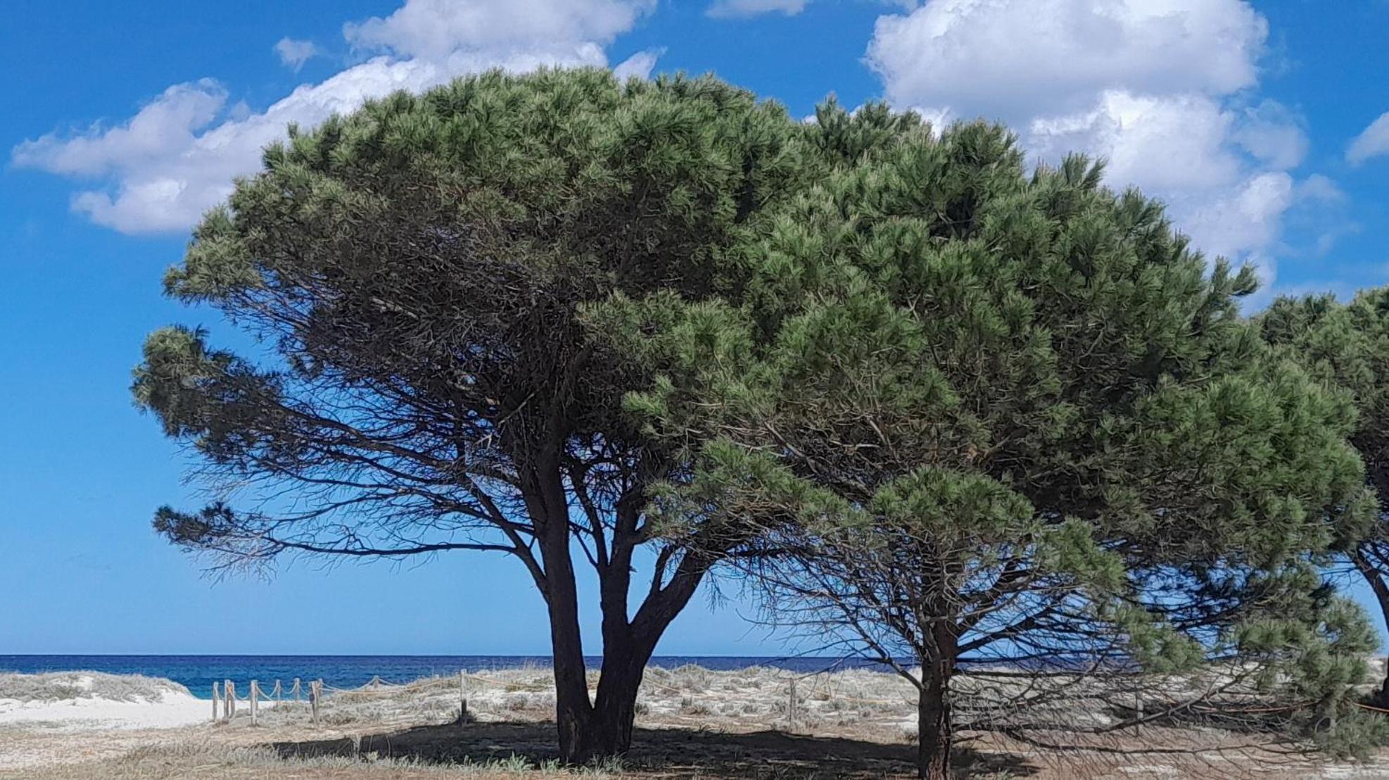 Resort Abbaia Ba Budoni Luaran gambar
