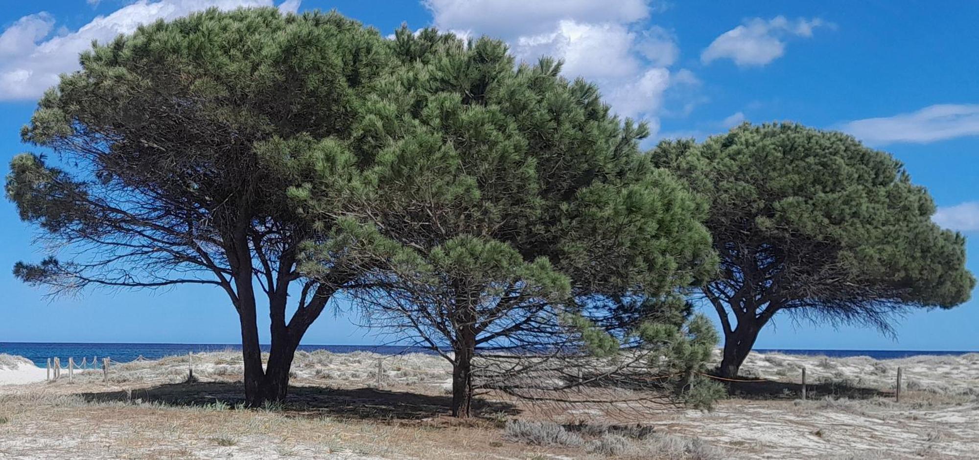 Resort Abbaia Ba Budoni Luaran gambar