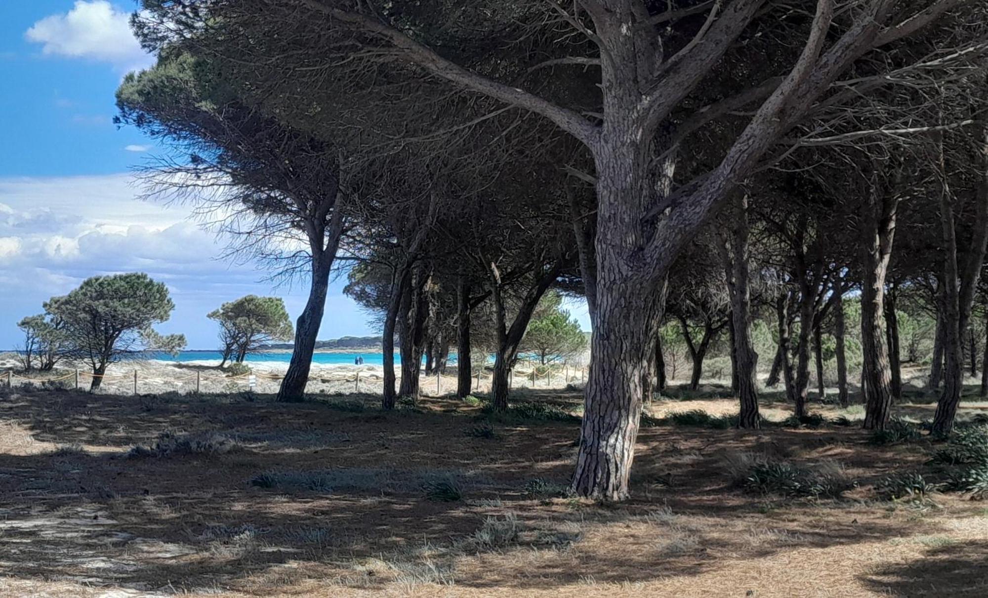 Resort Abbaia Ba Budoni Luaran gambar